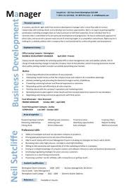 Business Development Manager Cv Template Managers Resume Marketing