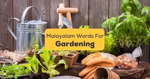 8 Easy Malayalam Words For Gardening