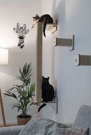 Beautiful Ideas For Cat Furniture