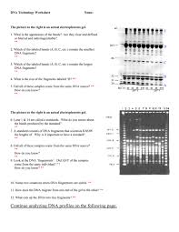 As the relevance and value of dna. Dna Profiling Gizmo Answer Key Quizlet