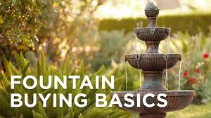 fountains ing guide and cleaning