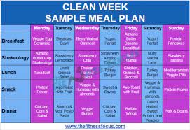 sle meal plan for beachbody s 7 day