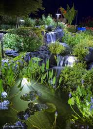 Water Feature Lighting Ideas Backyard