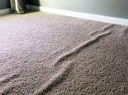 carpet repair carpet doctor