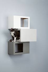 Make Your Cat The Perfect Climber
