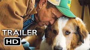 Some platforms allow you to rent a dog's journey for a limited time or purchase the movie and download it to your device. A Dog S Journey Official Trailer 2019 A Dog S Purpose 2 Movie Hd Youtube
