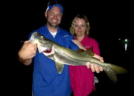 backcountry tarpon dock lights