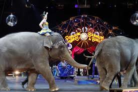 Ringling Bros Circus To Close In May After 146 Years
