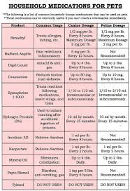 Benadryl Cats Dosage Chart Benadryl Dosage Chart For Cats