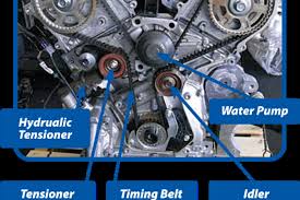 what does a timing belt do trinity