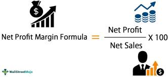 net profit margin what is it formula
