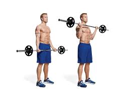 The 15 Best Bicep Workouts And Exercises Of All Time