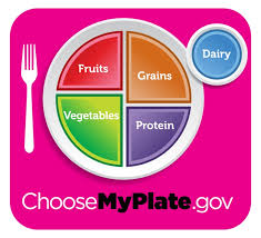Myplate Fruit Veg Grains Dairy And Protein