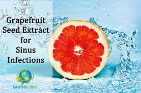 gfruit seed extract for sinus