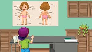 parts of the body for kids names