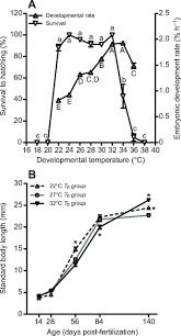 Temperature During Embryonic Development Has Persistent