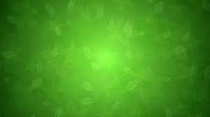 Green Floral Texture Backgrounds ...