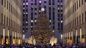 But have you ever wondered where the tradition comes from? History Of Christmas Trees History