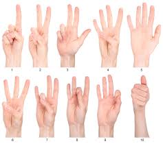 Sign Language Numbers Getting Started With 1 20