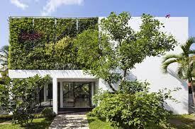 Use Green Walls To Create A Healthier
