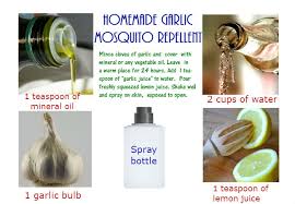 make mosquito repellent diy to protect