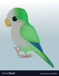 cute parrot royalty free vector image
