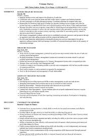 Importance of writing a good curriculum vitae. Treasury Manager Resume Samples Velvet Jobs