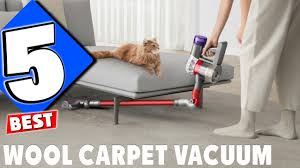 top 5 vacuum for wool carpet in 2024