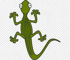 Animals come in many different shapes and sizes, and the techniques to draw them are just as varied. Scaled Reptiles Png Images Pngwing