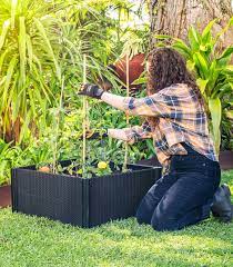 Raised Garden Beds Grow Your Own