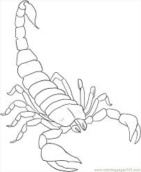 Free printable mortal kombat scorpion photos for kids that you can print out and color. Scorpion Kids Coloring Scorpion Coloring Page To Print Out Coloring Pages Berri Anayelizavalacitycouncil Com