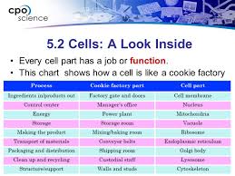 Chapter Five Cell Structure And Function 5 1 What Are Cells