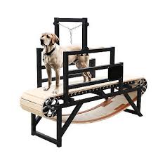 bowwowtread dog treadmill no