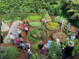 korito permaculture open garden new