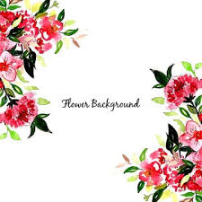 watercolor flowers background png
