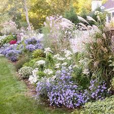 Sunny Landscape Ideas