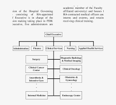 Organizational Chart Of Princess Diana Hospital Imaging