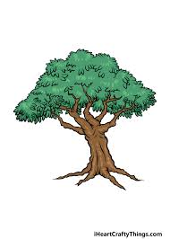 cartoon tree drawing how to draw a