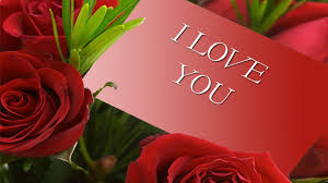Download beautiful red, pink, white, flower images for android screen saver. Flower I Love You Wallpaper Pixelstalk Net