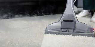 carpet cleaning inc 251 sanford st
