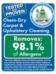 remove allergens chem dry of