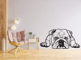 Lazy American Bulldog Wall Decal Dog