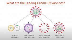 Covid‑19 vaccines must meet the same quality and safety standards as any other vaccine used in canada. Key Quotes Understanding How Covid 19 Vaccines Work International Center For Journalists