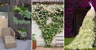 Living walls are not only beautiful but great for the air quality of your home, thanks to the plants that adorn them. 13 Imaginative Wall Garden Ideas For The Uninspired Yard Surfer