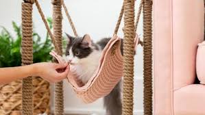 diy cat hammock from upcycled furniture