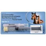 what-is-in-the-6-way-equine-vaccine