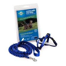 Come With Me Kitty Harness And Bungee Leash By Petsafe Grp