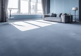 xen carpet cleaning excellent value