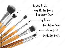 set of professional makeup brushes with
