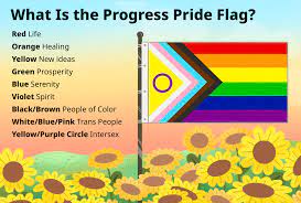 the colors of the new pride flag mean